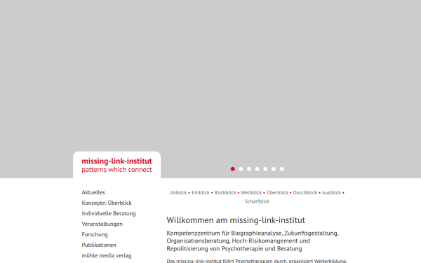 www.missing-link-institut.de