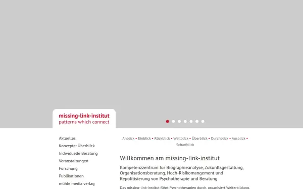 www.missing-link-institut.de
