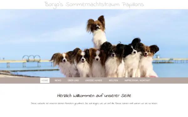 www.meinepapillons.net
