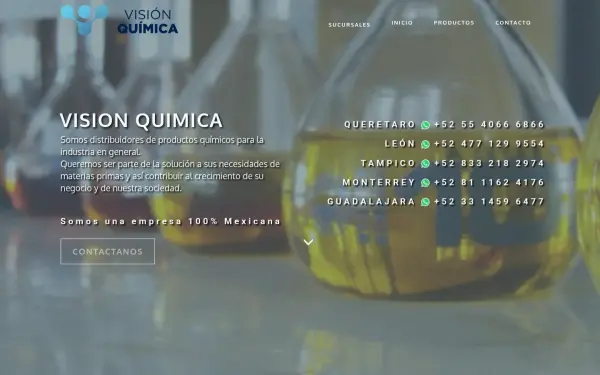 visionquimica.com.mx