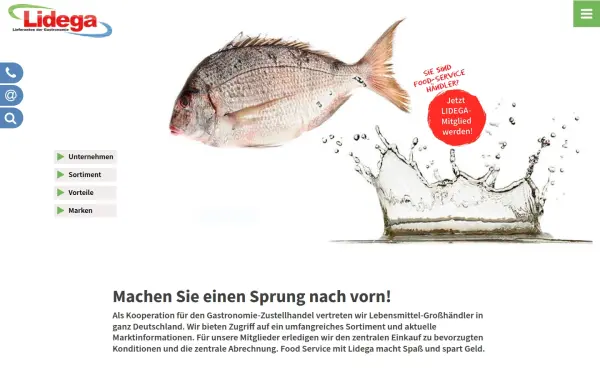 lidega.de