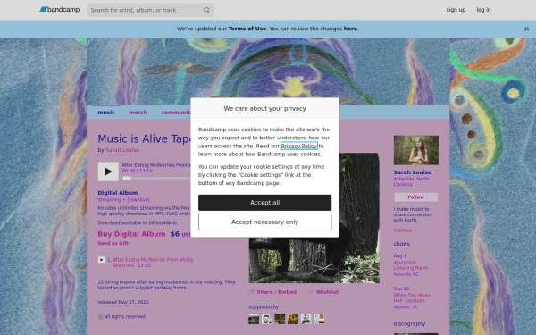 sarahlouise.bandcamp.com
