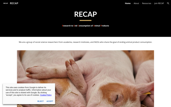 www.recapresearch.org