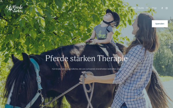 www.pferdestaerkentherapie.at