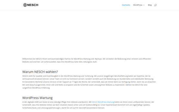 www.nesch.biz