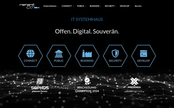 netzint.de