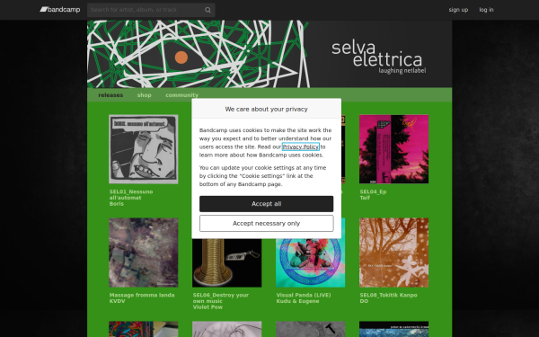 selvaelettrica.bandcamp.com