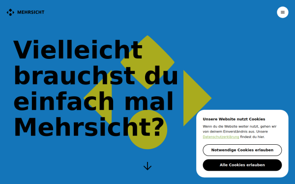 www.mehrsicht.ch