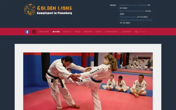 www.goldenlions-pinneberg.de