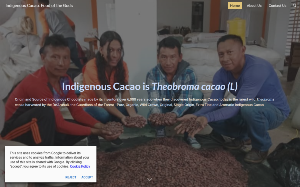 www.indigenouscacao.org