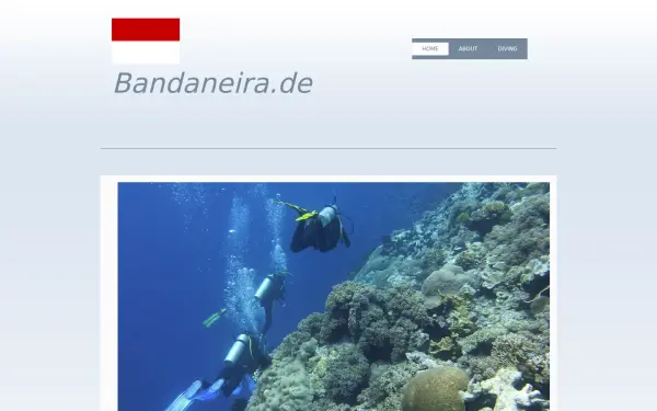 bandaneira.de