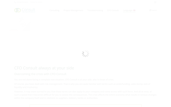 cfo-consult.de