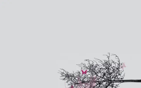 www.a-k-design.de