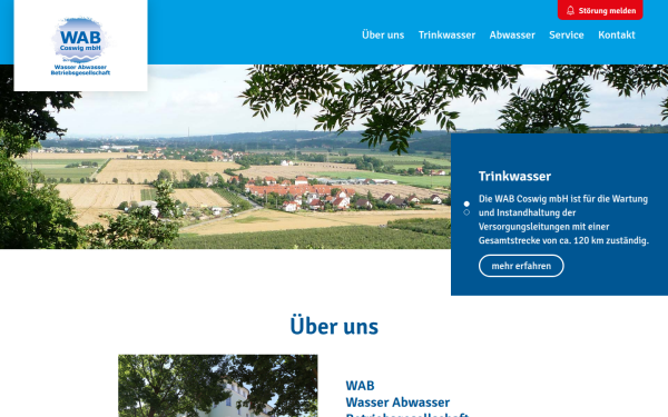 wab-coswig.de