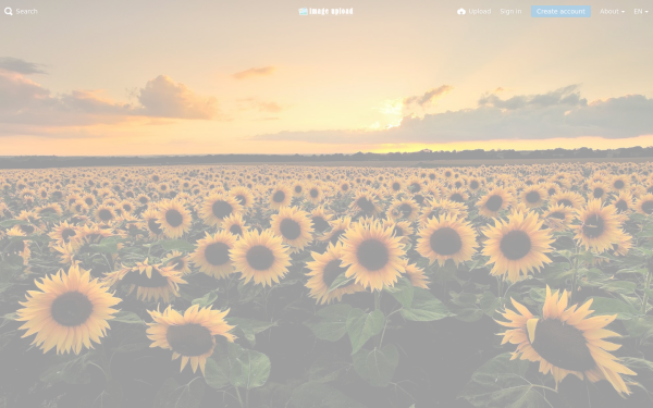 myimageurl.com