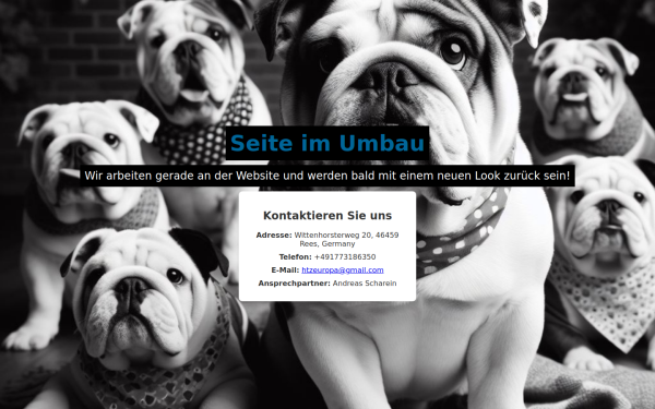 deutscher-bulldog-club.de