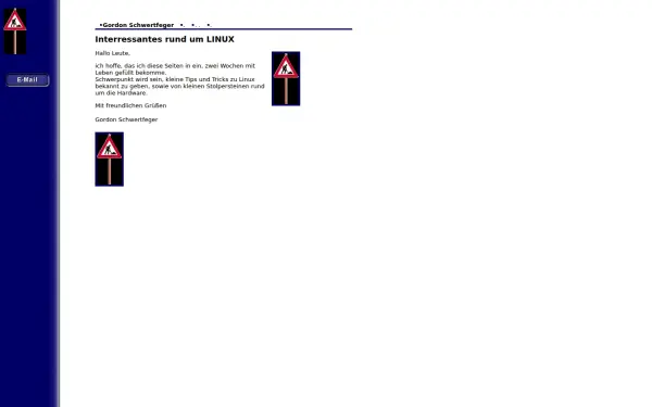 gsr-web.de