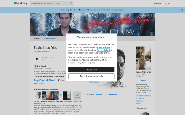 jamiealimorad.bandcamp.com