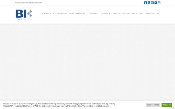 www.bauer-informatik.de