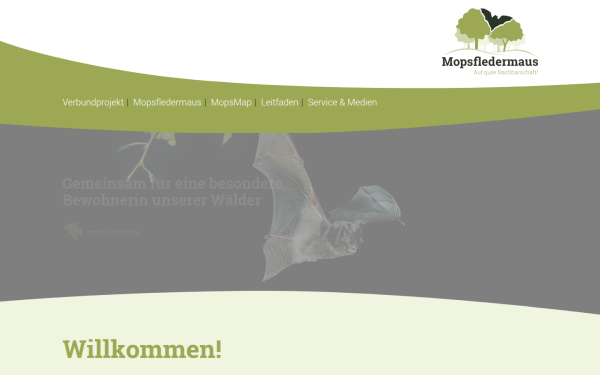 www.mopsfledermaus.de