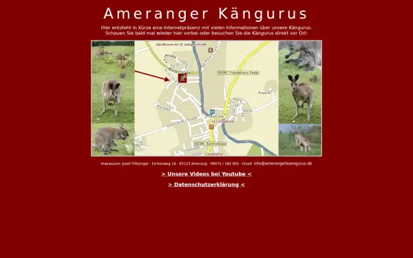amerangerkaengurus.de