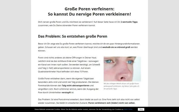www.grosse-poren-verfeinern-verkleinern.de