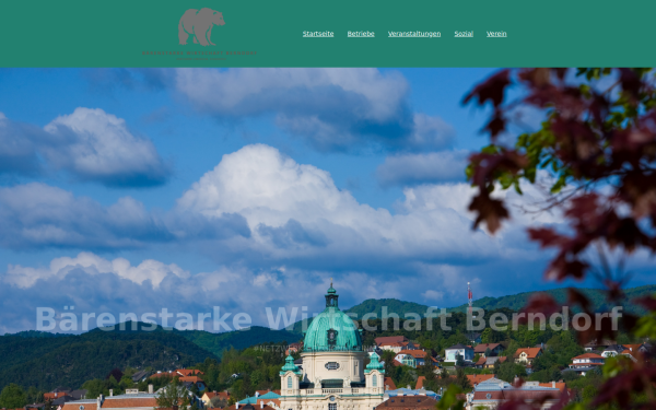 bsw-berndorf.at