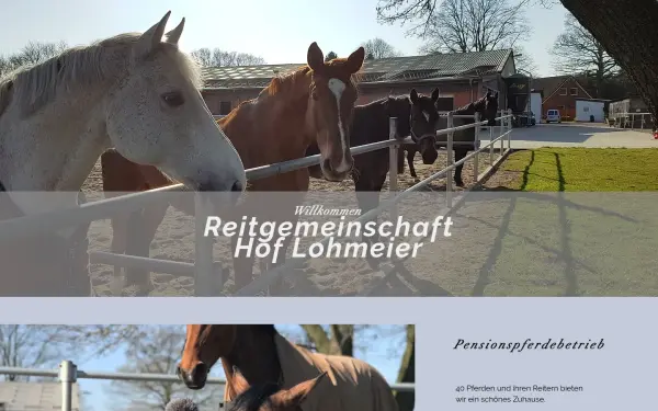 www.hof-lohmeier.de