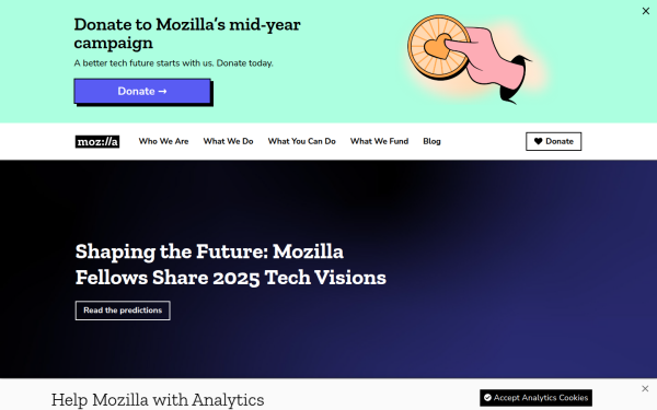 www.mozillafoundation.org