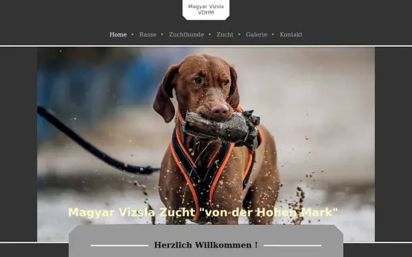 www.magyar-vizsla-vdhm.de