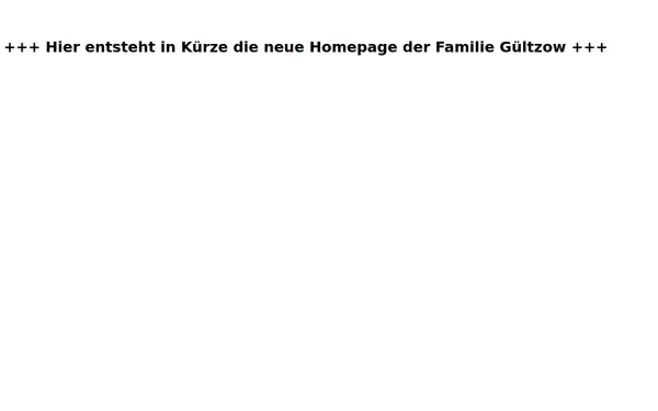 gueltzow.de