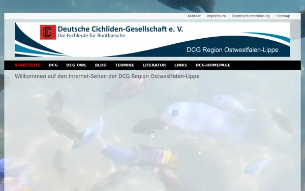 dcg-owl.de