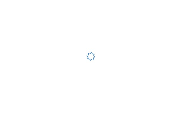 www.pferdeschlittenfahrt.com
