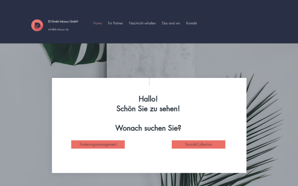 www.di-inkasso.de
