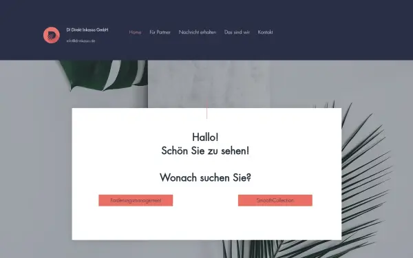 www.di-inkasso.de