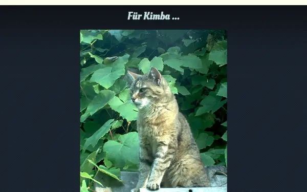 www.kimbachen.de