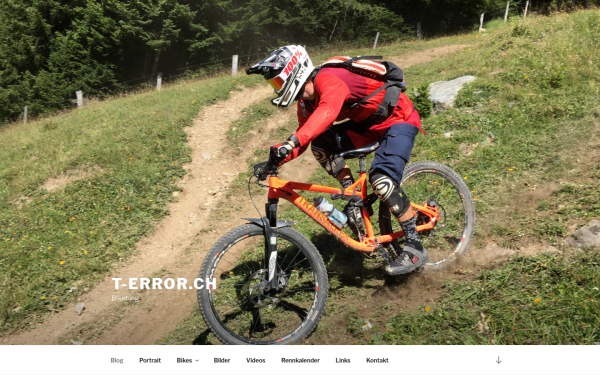 blog.t-error.ch