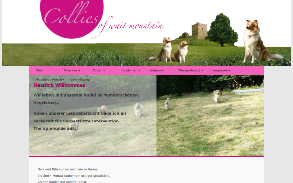 collies-waitmountain.de