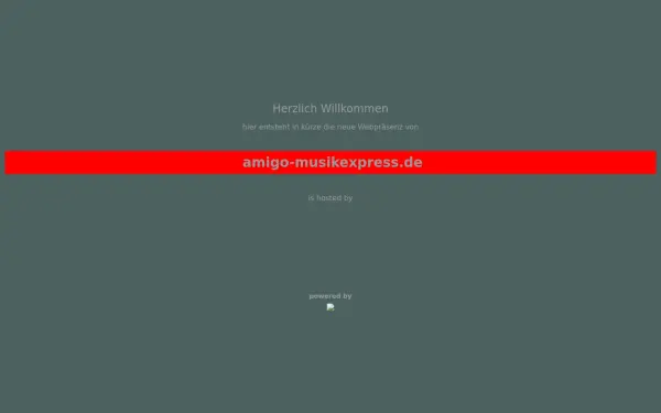 amigo-musikexpress.de
