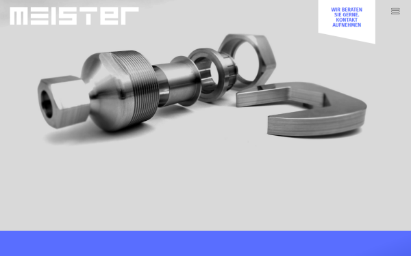www.zt-meister.de