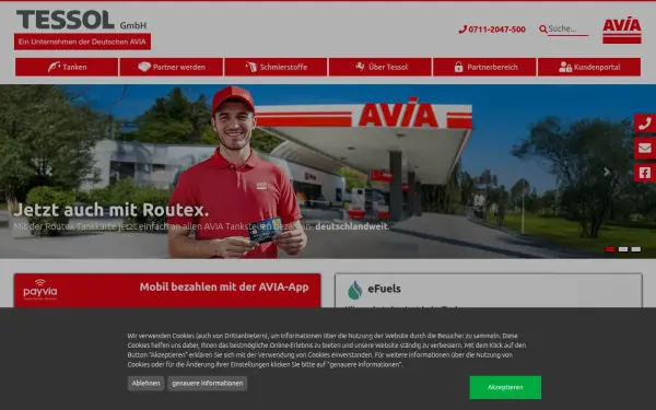 www.tessol.de