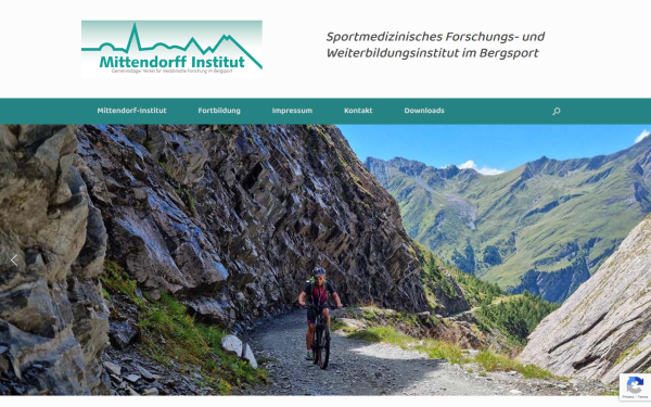 mittendorff-institut.com