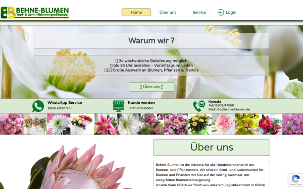 behne-blumen.de