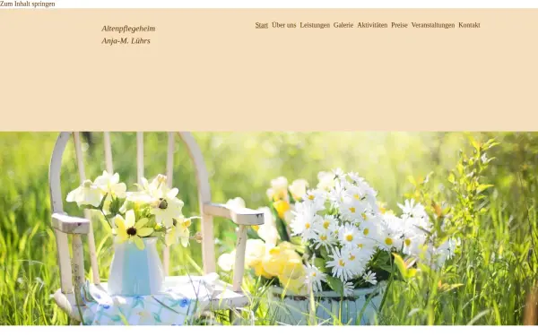 www.aph-luehrs.de