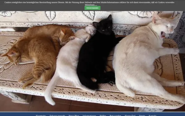 angeles-katzenhilfe.de