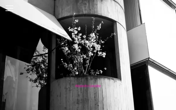 alexandragonzalez.de