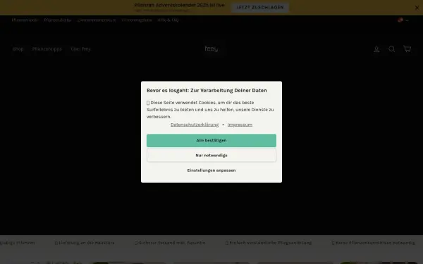 www.feey-pflanzen.de