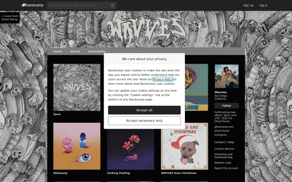 wavvesband.bandcamp.com