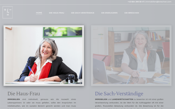 diebreschan.at