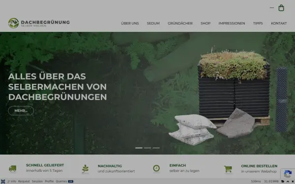 dachbegruenungselbermachen.de